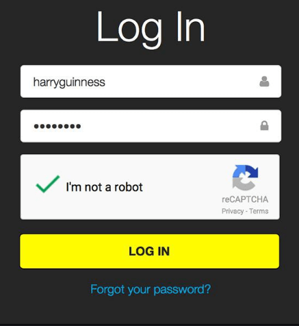 Password Guessing